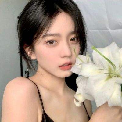 龙之影九游版下载